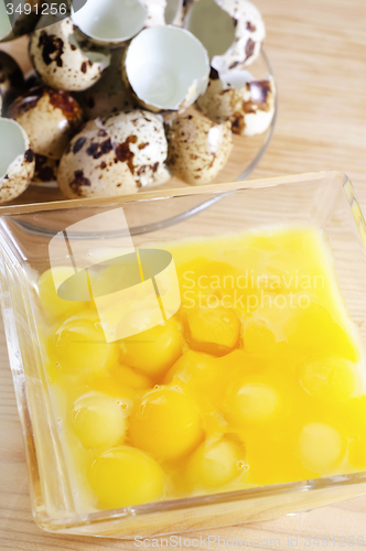 Image of Yolks