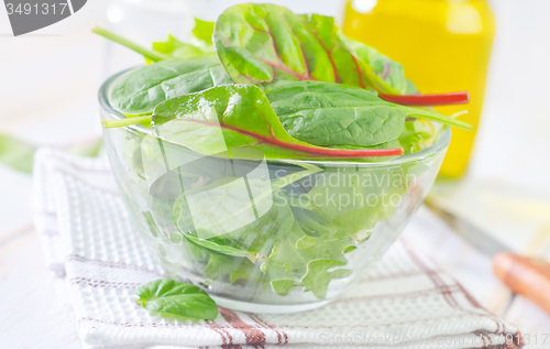 Image of fresh salad