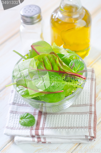 Image of fresh salad