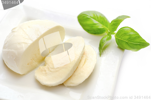 Image of mozzarella