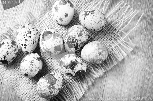 Image of quail eggs