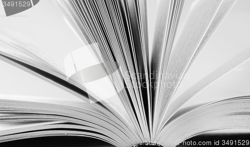 Image of open book