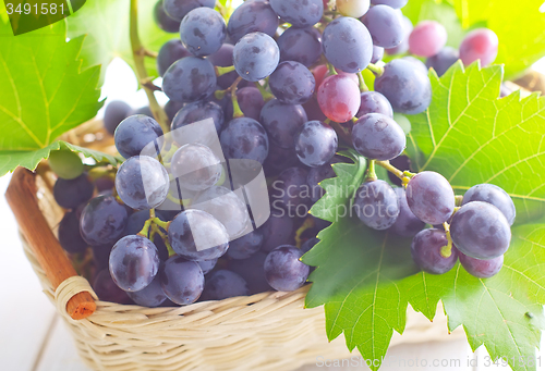 Image of grape