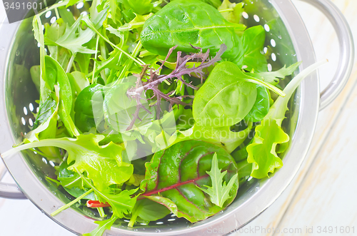 Image of fresh salad