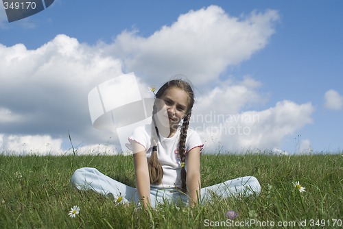 Image of Girl and camomile V