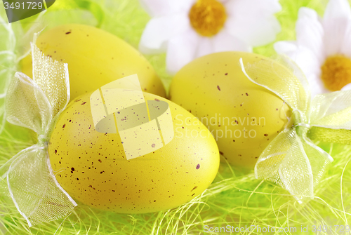 Image of color eggs