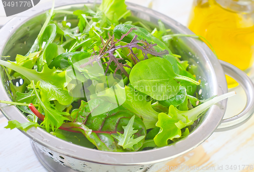 Image of fresh salad