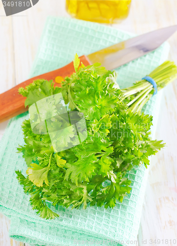 Image of parsley