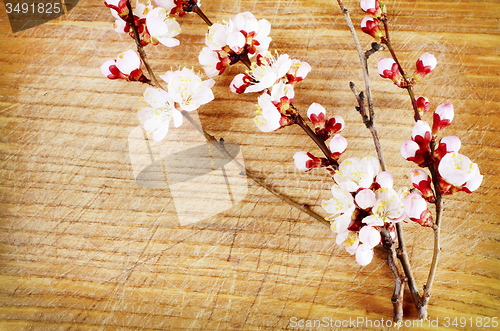 Image of flowers on wood