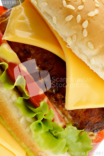 Image of Tasty Cheeseburger 
