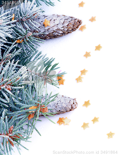 Image of Spruce Branch with Hoar-Frost