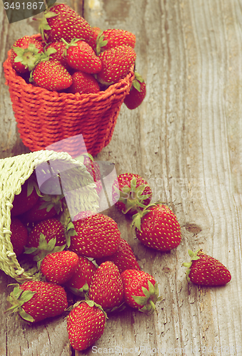 Image of Forest Strawberries