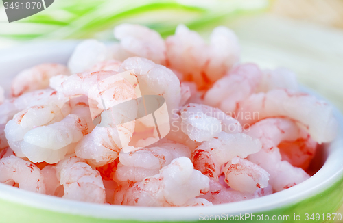 Image of shrimps