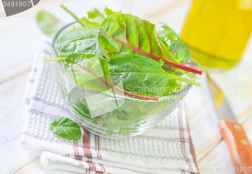 Image of fresh salad