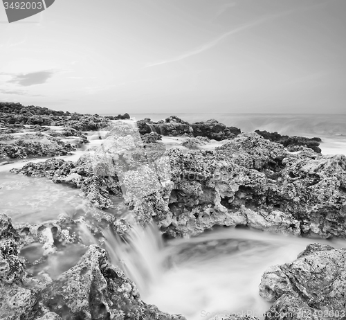 Image of sea coast