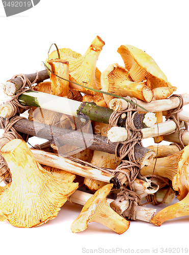 Image of Raw Chanterelles