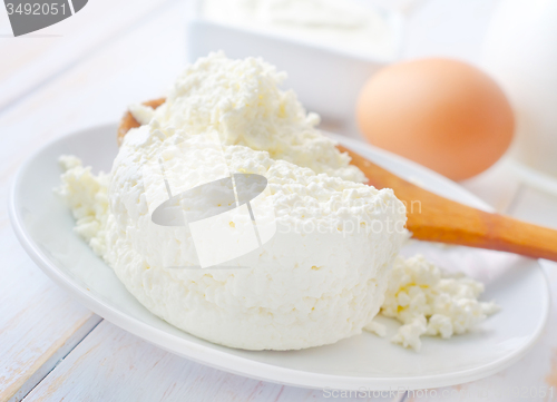 Image of Milk products, fresh cottage in the white plate