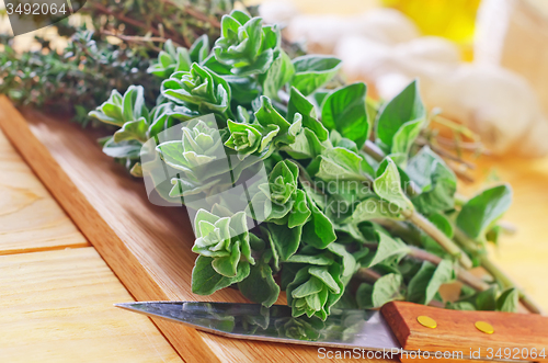 Image of oregano with thyme