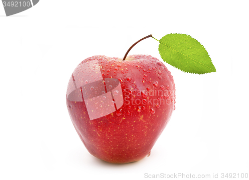 Image of red apple