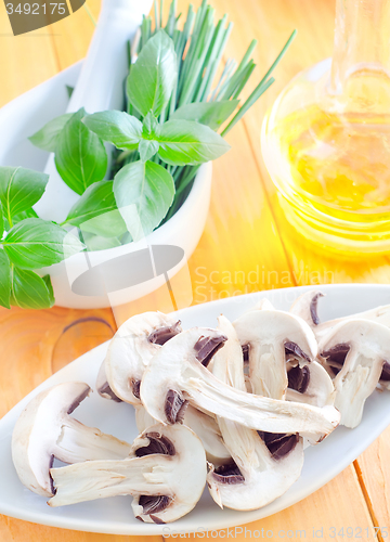 Image of mushroom