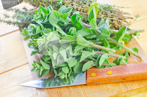 Image of oregano with thyme