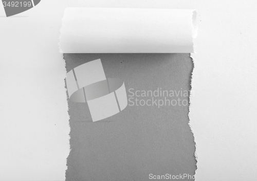 Image of paper