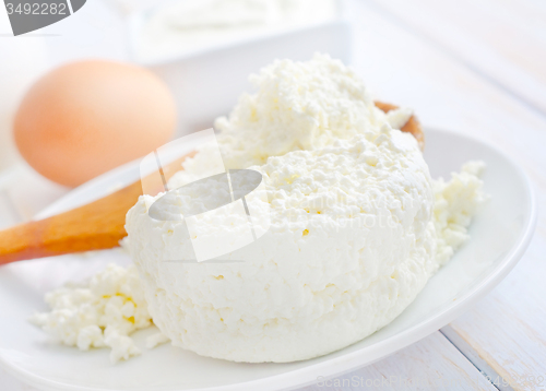 Image of Milk products, fresh cottage in the white plate
