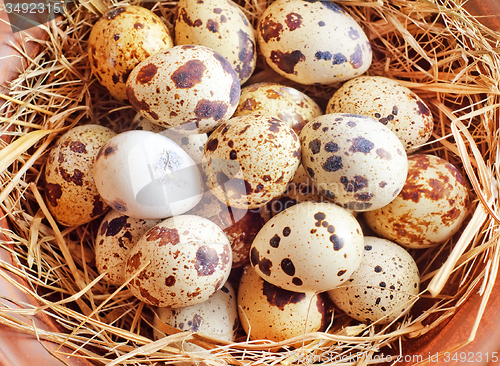 Image of raw guail eggs