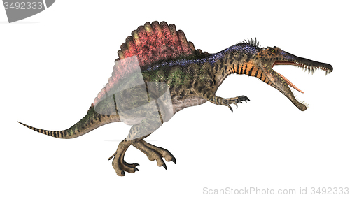 Image of Dinosaur Spinosaurus