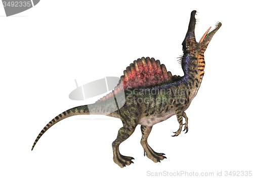 Image of Dinosaur Spinosaurus