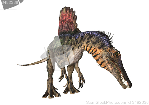 Image of Dinosaur Spinosaurus