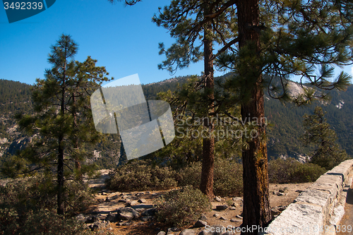 Image of Yosemite Valley View