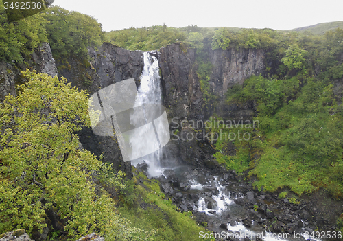 Image of waterfall in Iceland