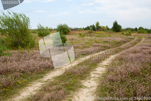 Image of Country road