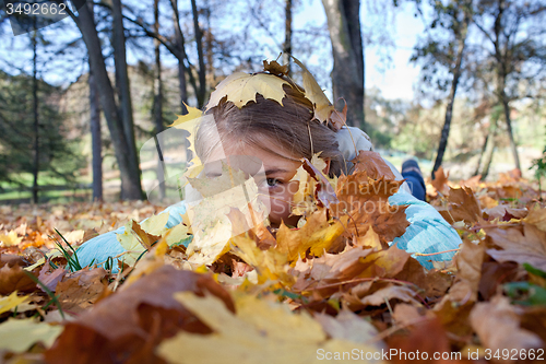 Image of Girl in the Autumn leaves