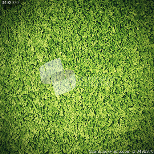 Image of Green carpet  background