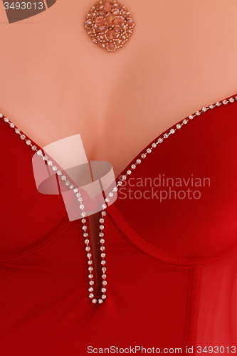 Image of Mannequin in bodice