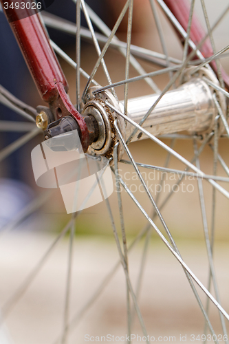 Image of Bicycle spokes