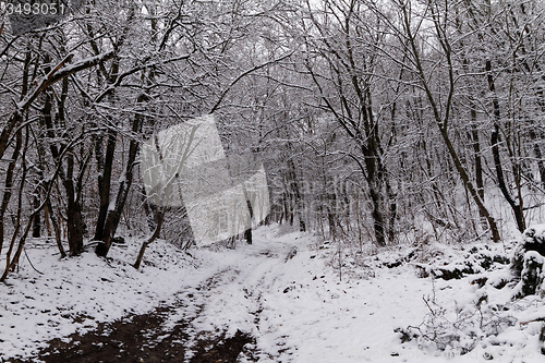Image of Snowy road