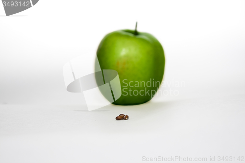 Image of Green Apple 