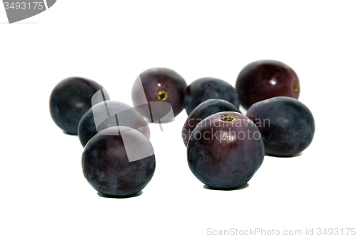 Image of   dark grapes