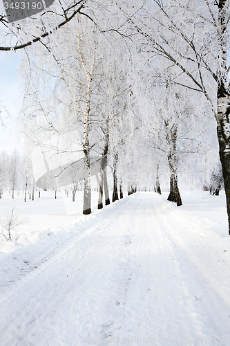 Image of the winter road  