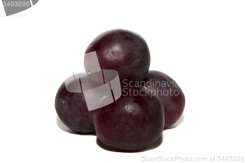 Image of   dark grapes