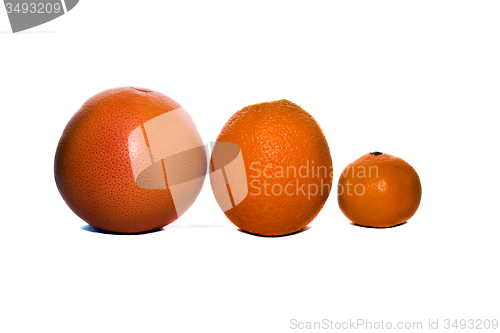 Image of Orange 