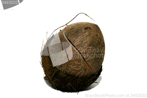 Image of broken coconut 