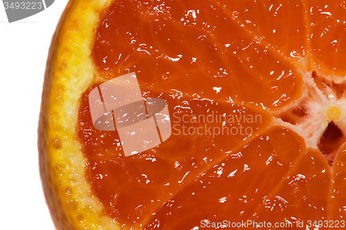 Image of Orange 
