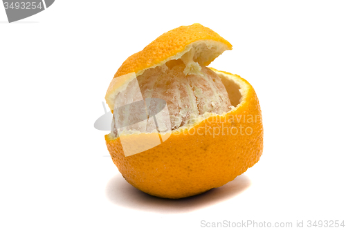 Image of Orange 