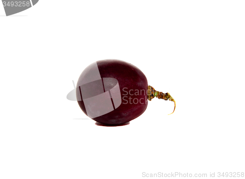 Image of   dark grapes