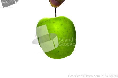 Image of Green Apple 