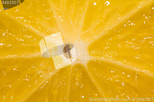 Image of  lemon cut.  
